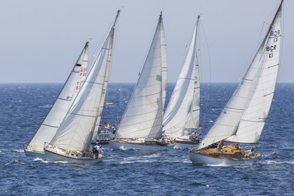 O60A1462.jpg