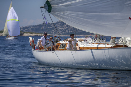 A29X2681.jpg