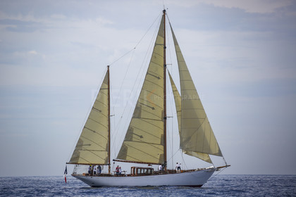 O60A3021.jpg
