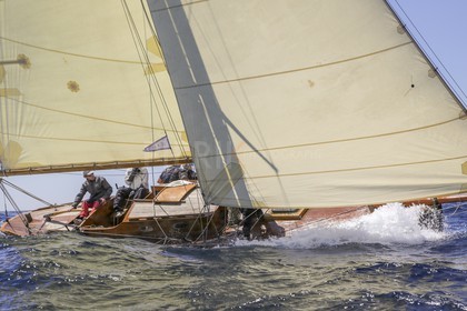 O60A5796.jpg