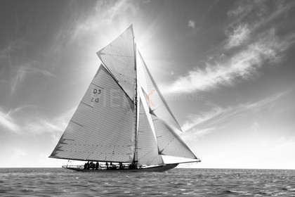 BL6A4125-Modifier.jpg