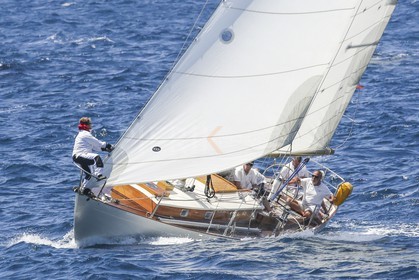 O60A1455.jpg