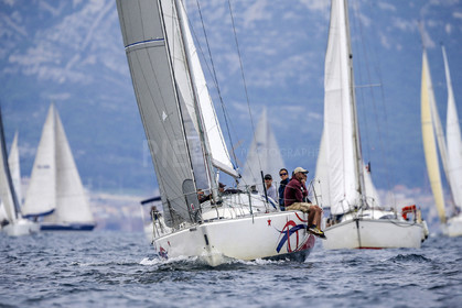 VireVire2014-71.jpg