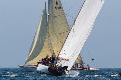 Andale croise Rainbow III