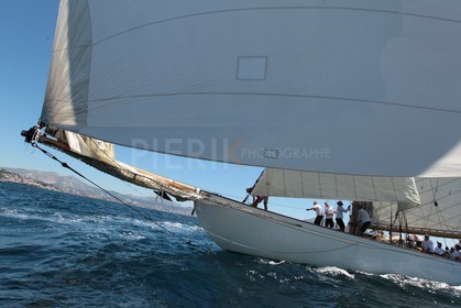 Moonbeam of Fife