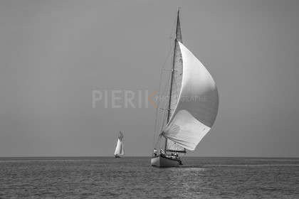 A29X2584.jpg