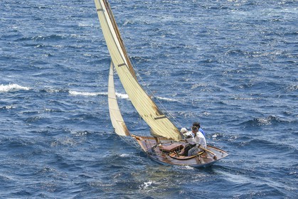 A29X1495.jpg