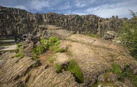 A29X4345.jpg