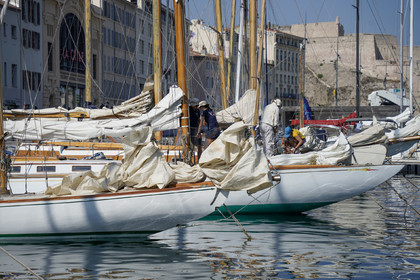_DSC7807.jpg