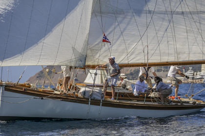 A29X9165.jpg