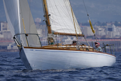 VVP_2023-7036.jpg