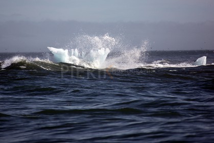 Iceberg