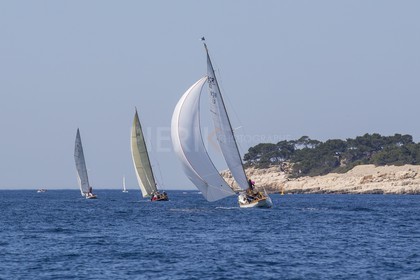 A29X6525.jpg