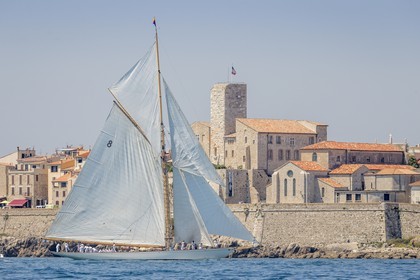 A29X7553.jpg