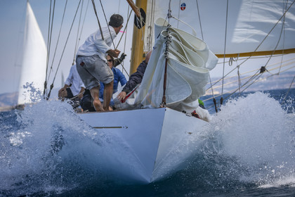 A29X0224.jpg