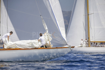 A29X9245.jpg