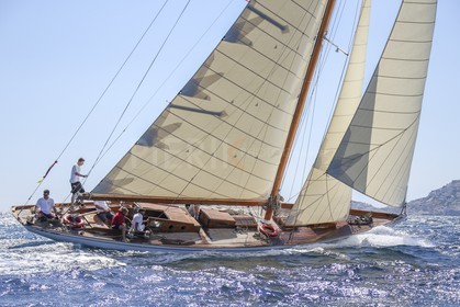 A29X9430.jpg