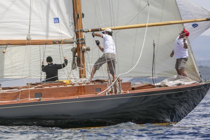 O60A7039.jpg