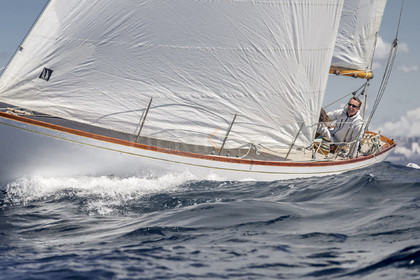 A29X0750.jpg