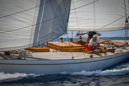 A29X1601.jpg