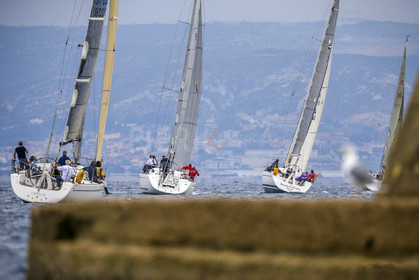 VireVire2014-76.jpg
