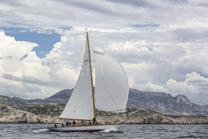 O60A1355.jpg