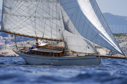 VVP_2023-7048.jpg