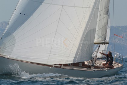 Palynodie II