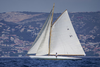 VVP_2023-7033.jpg