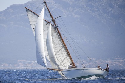 A29X9044.jpg