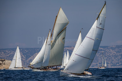 A29X1451.jpg