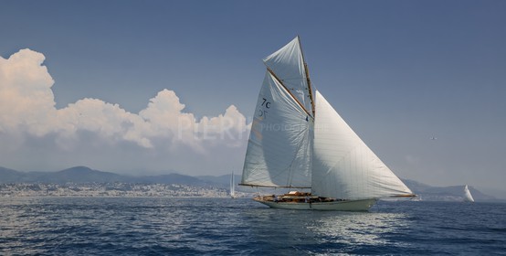 O60A8239.jpg