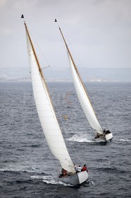 The Blue Peter, White Dolphin