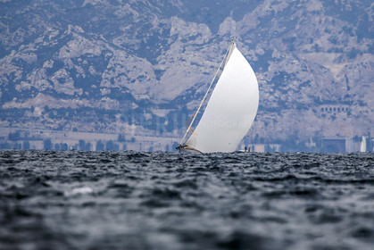 VireVire2014-87.jpg