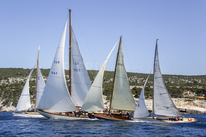O60A0520.jpg