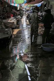 BenTre-6.jpg