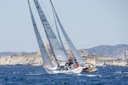 A29X8157.jpg