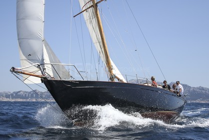 A29X9324.jpg