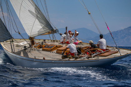A29X1617.jpg