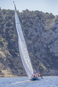 A29X9308.jpg