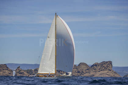 A29X9101.jpg