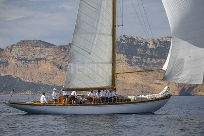 A29X2778.jpg