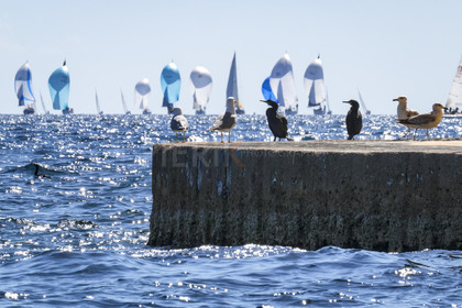 SNIM23_Pierik-08250.jpg