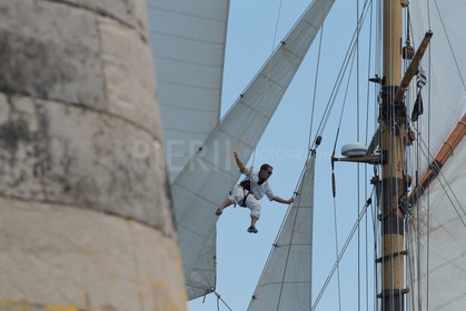 Le singe