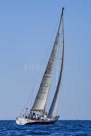 DSC01320.jpg
