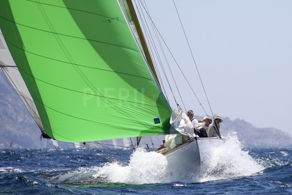 A29X9131.jpg