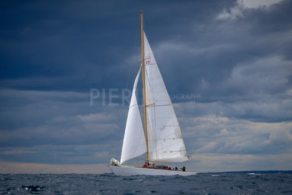 A29X9897.jpg