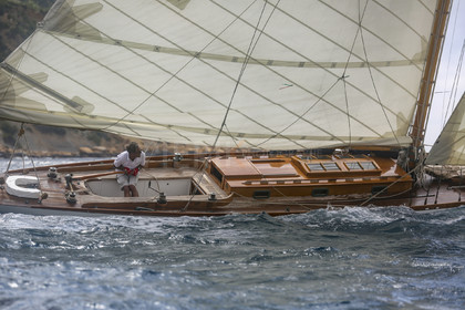 O60A5266.jpg