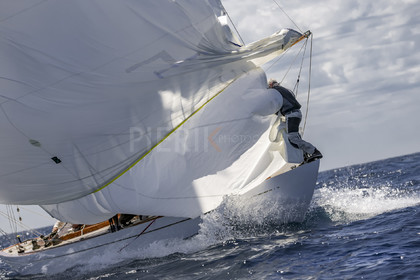A29X1511.jpg