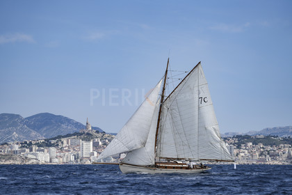 VVP_2023-08812.jpg